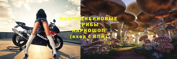 спиды Горняк
